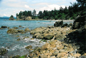 Cape Alava (by Dan Keusal)