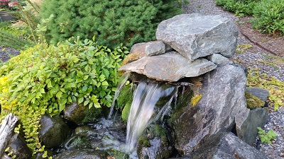 Garden Waterfall Bellingham WA