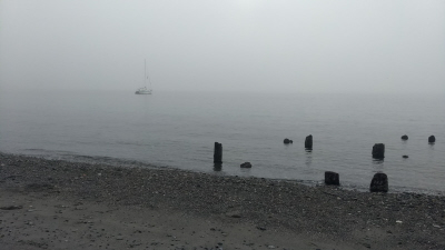 Gray and Fog (photo by Dan Keusal)