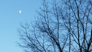 "Half Moon, Winter Sky" (photo by Dan Keusal)