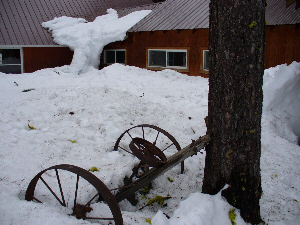 Wagon Wheel in snow (by Dan Keusal)